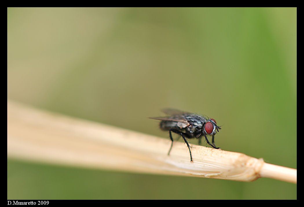 ...fine delle vacanze...fine delle Macro!